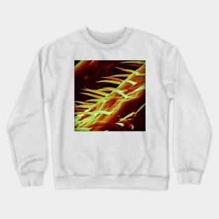 The Bees Knees - SEM of Bee Leg Crewneck Sweatshirt